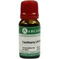 CANTHARIS LM 30 Dilution